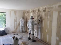 Best Comprehensive Air Testing for Mold Contaminants  in Valparaiso, IN